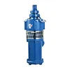 Cast Iron Water Pump